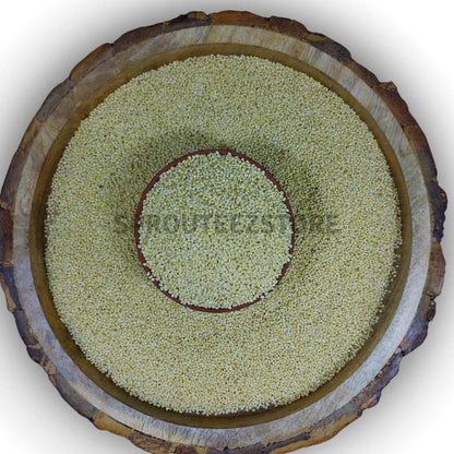 Unpolished Proso Millet | Pani Varagu - Sprouteez Store