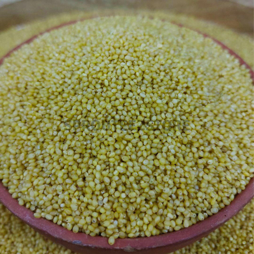 Unpolished Foxtail Millet | Thinai | Positive millet - Sprouteez Store