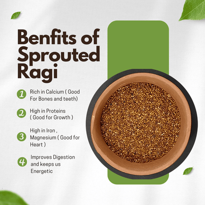 Sprouted Ragi Flour | Finger Millet flour - Sprouteez Store