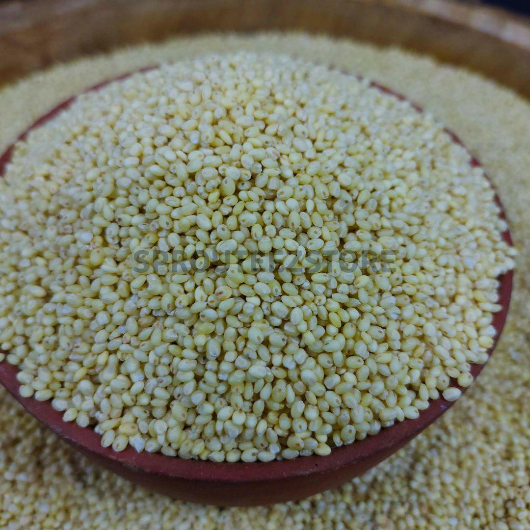 Unpolished Proso Millet | Pani Varagu - Sprouteez Store