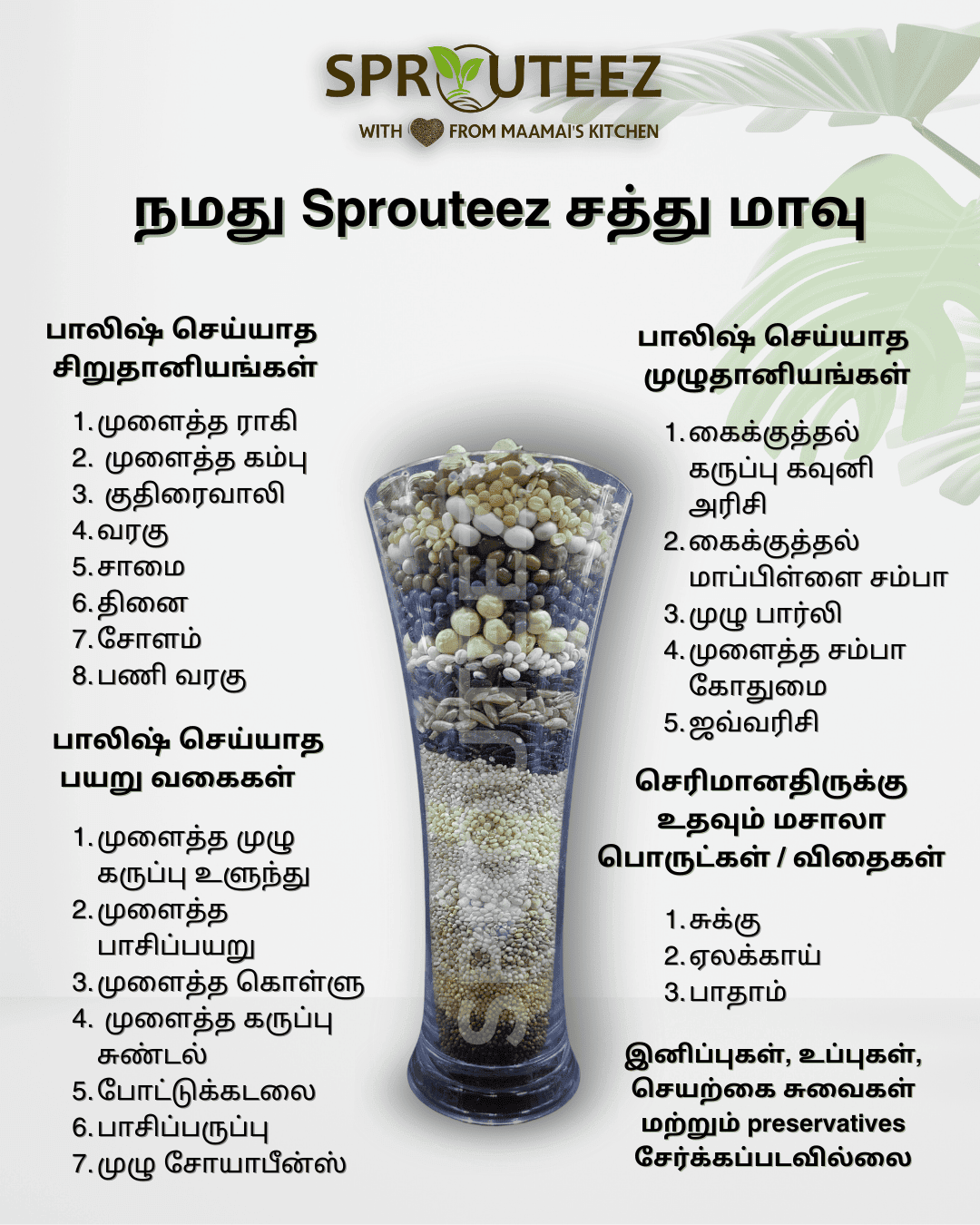 Sprouted Sathu Maavu Choco Drink Combo - Sprouteez Store