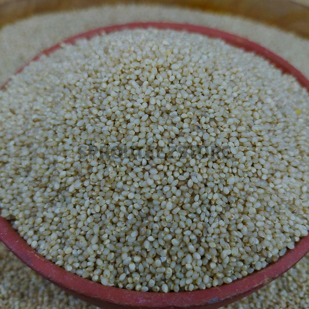 Unpolished Little Millet | Saamai | Positive millet - Sprouteez Store