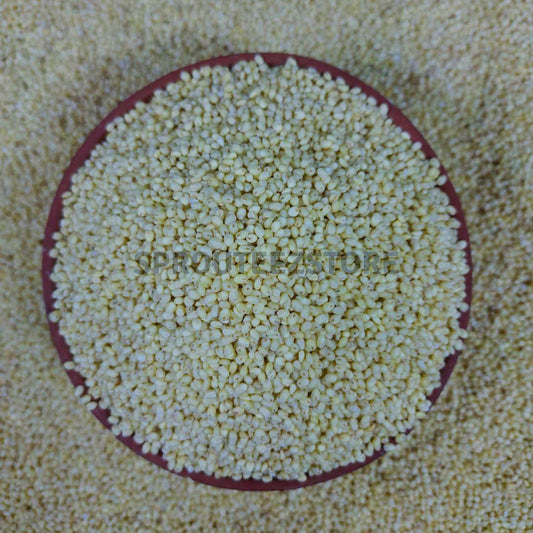 Unpolished Proso Millet | Pani Varagu - Sprouteez Store