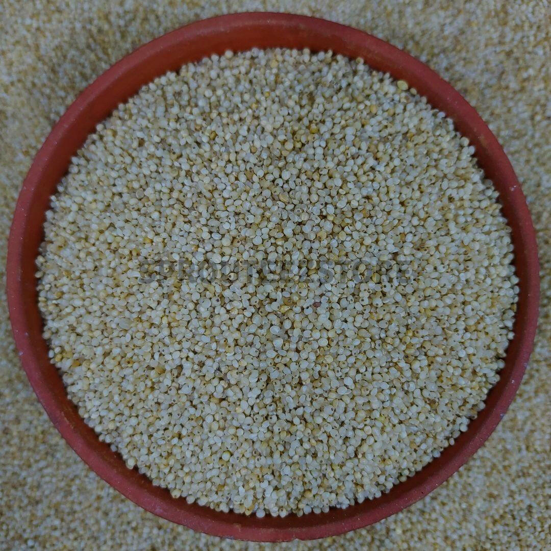 Unpolished Banyard Millet | Kuthiraivaali | Positive millet - Sprouteez Store