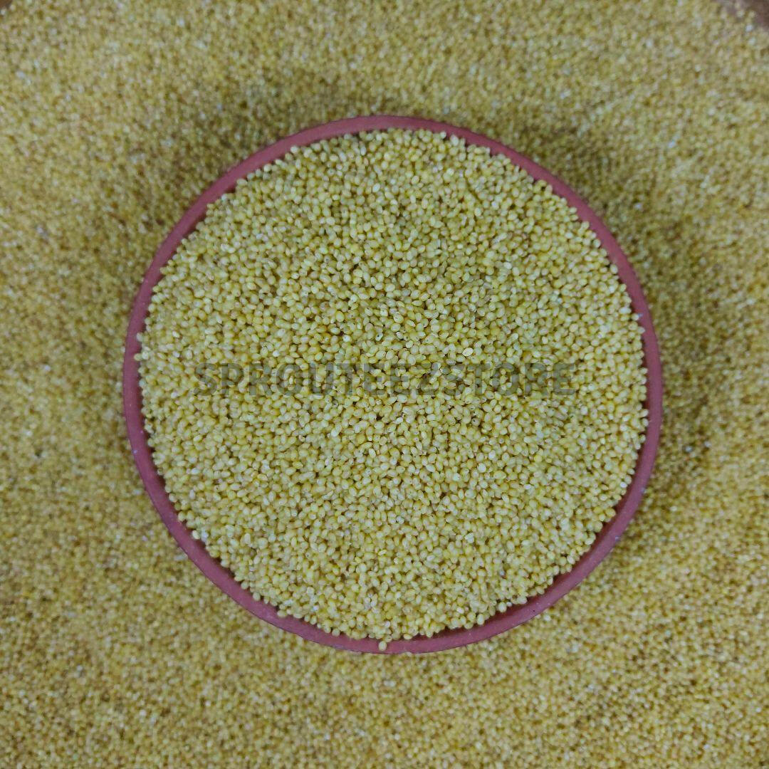 Unpolished Foxtail Millet | Thinai | Positive millet - Sprouteez Store